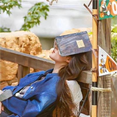 反叛的鲁路修 夺还的罗赛